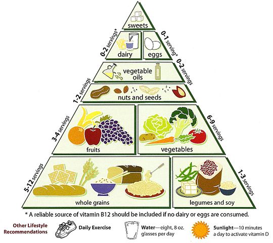 Essential Nutrients Food Pyramid