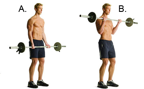 barbell-curl