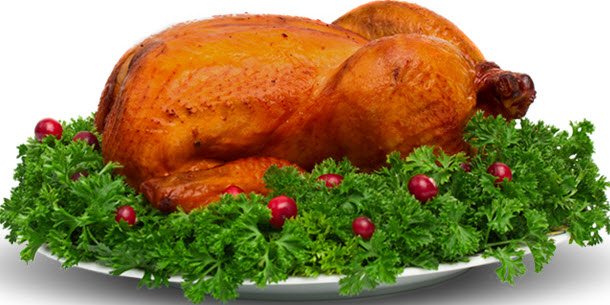 turkey bird food for flat tummy