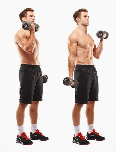 Body weight biceps curls