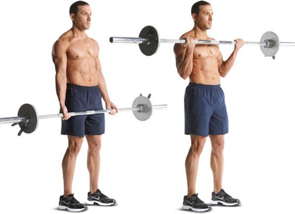 Barbell Bicep Curls