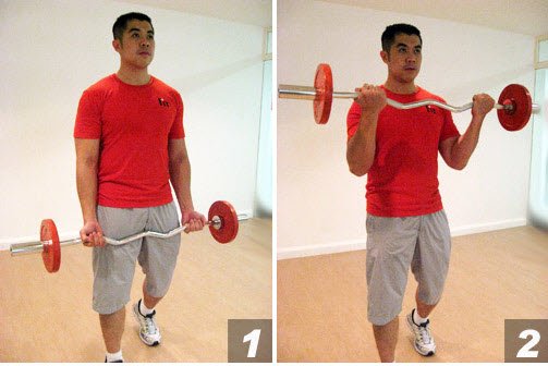 E-Z Bar Bicep Curls