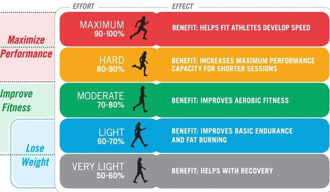 Fat Loss and Conditioning