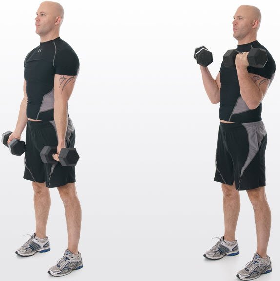 Hammer Dumbbell Curl