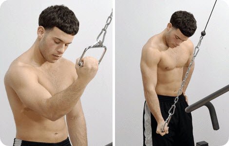 Reverse One-Arm Cable Triceps Extensions