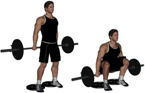 Barbell Hack Squat